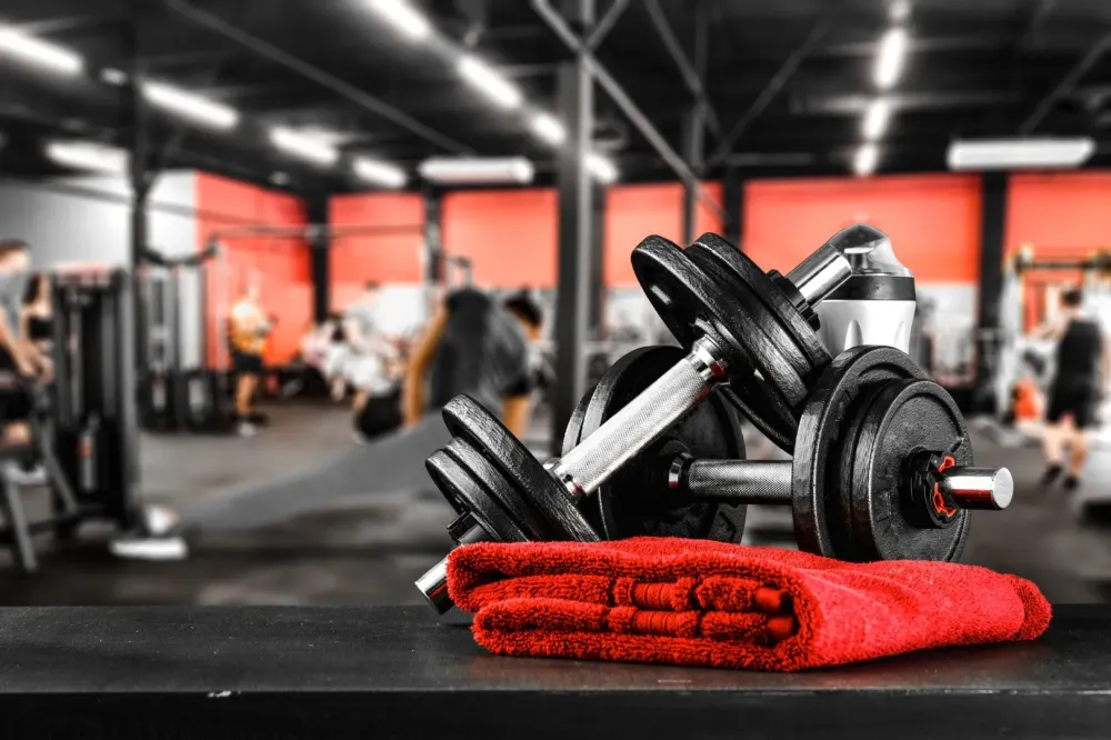 Entraînement musculaire à Neufchâtel-en-Bray